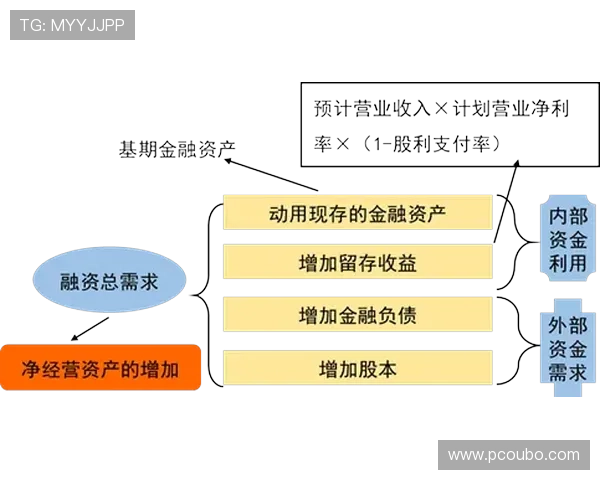 分析菲律宾欧博的经营状况：财务表现、客户服务与合规运营的关键要素